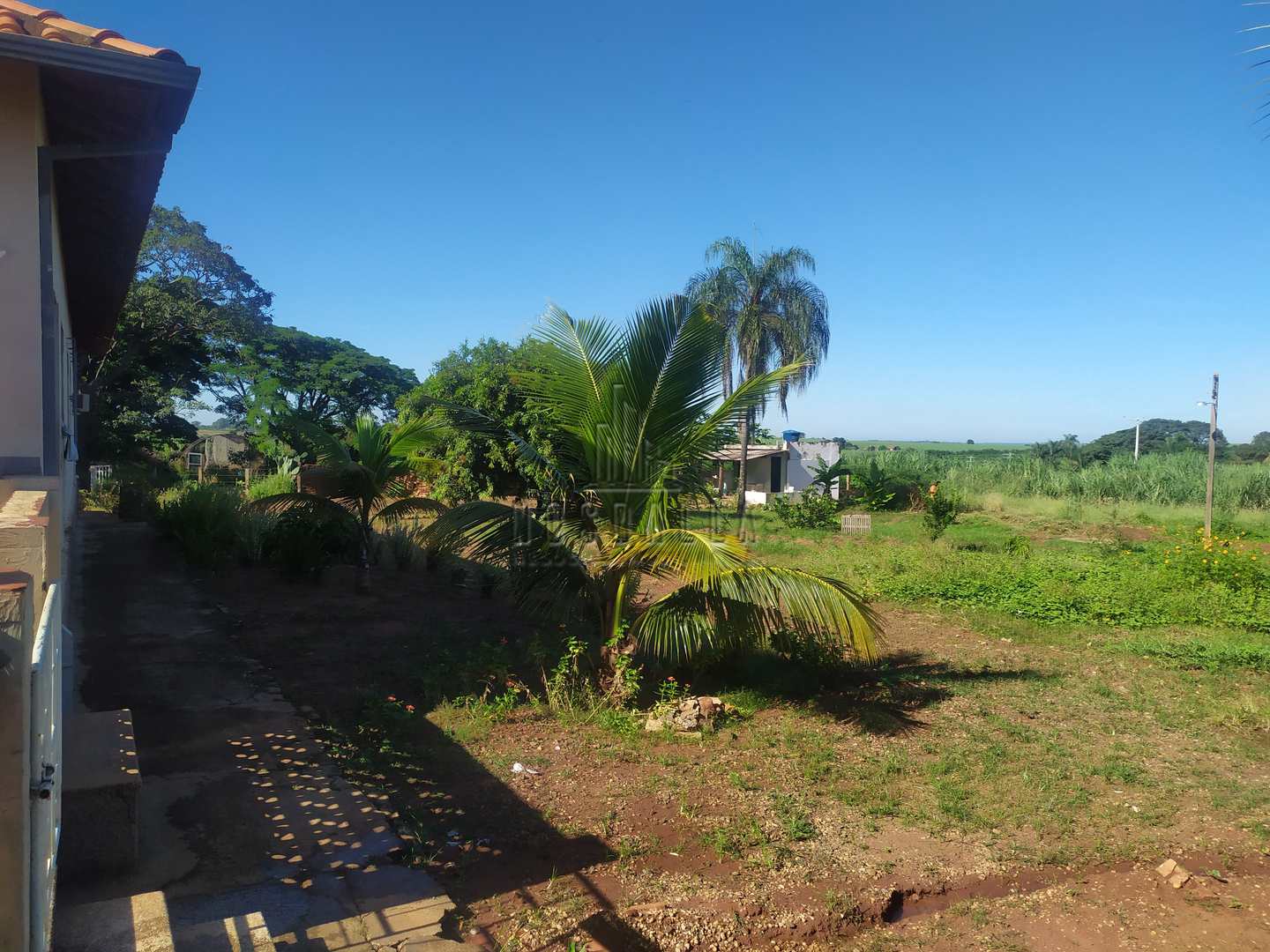 Fazenda à venda com 4 quartos, 30000m² - Foto 15