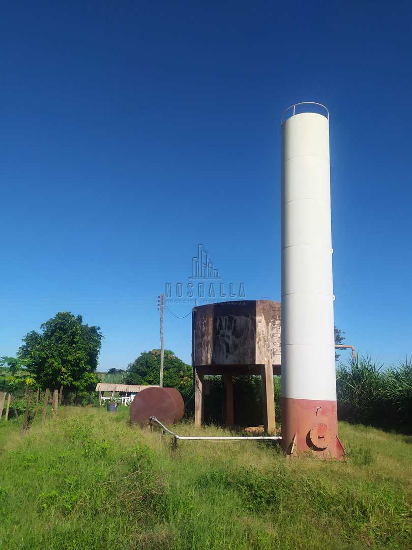 Fazenda à venda com 4 quartos, 30000m² - Foto 29