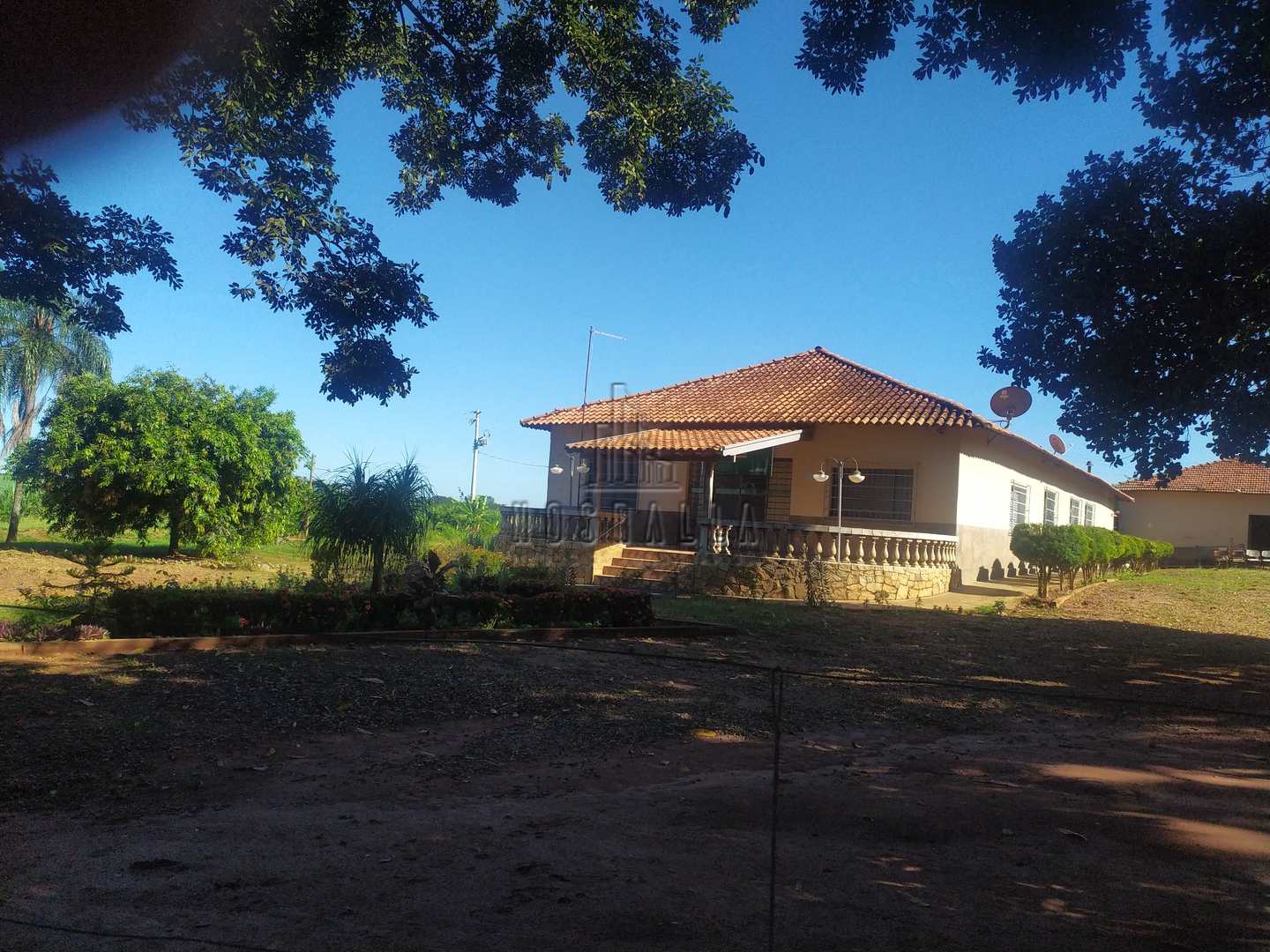 Fazenda à venda com 4 quartos, 30000m² - Foto 6