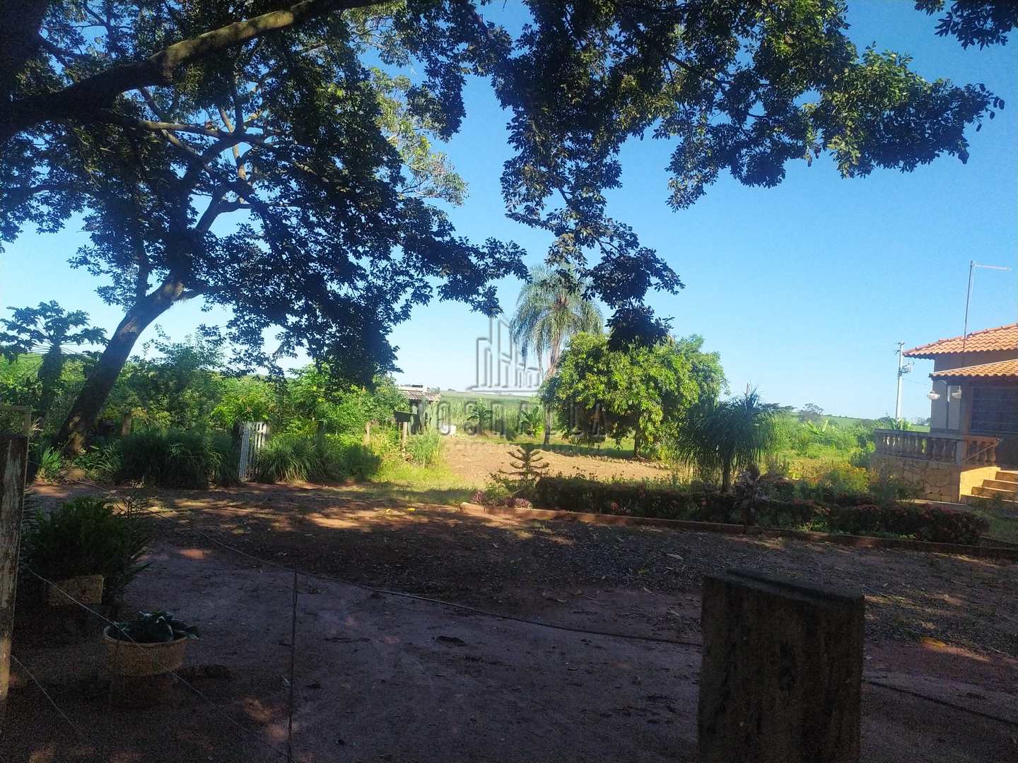 Fazenda à venda com 4 quartos, 30000m² - Foto 8