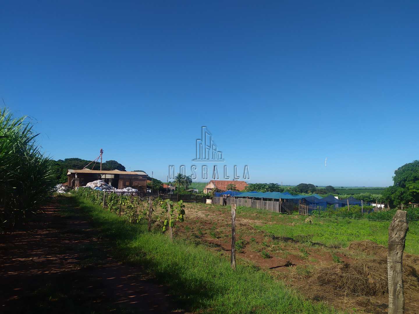 Fazenda à venda com 4 quartos, 30000m² - Foto 30