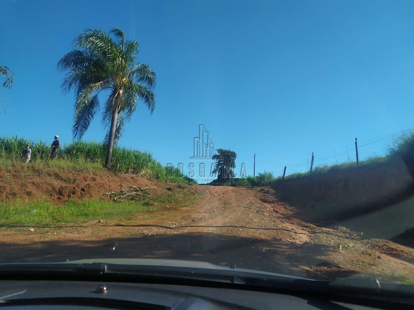 Fazenda à venda com 4 quartos, 30000m² - Foto 2