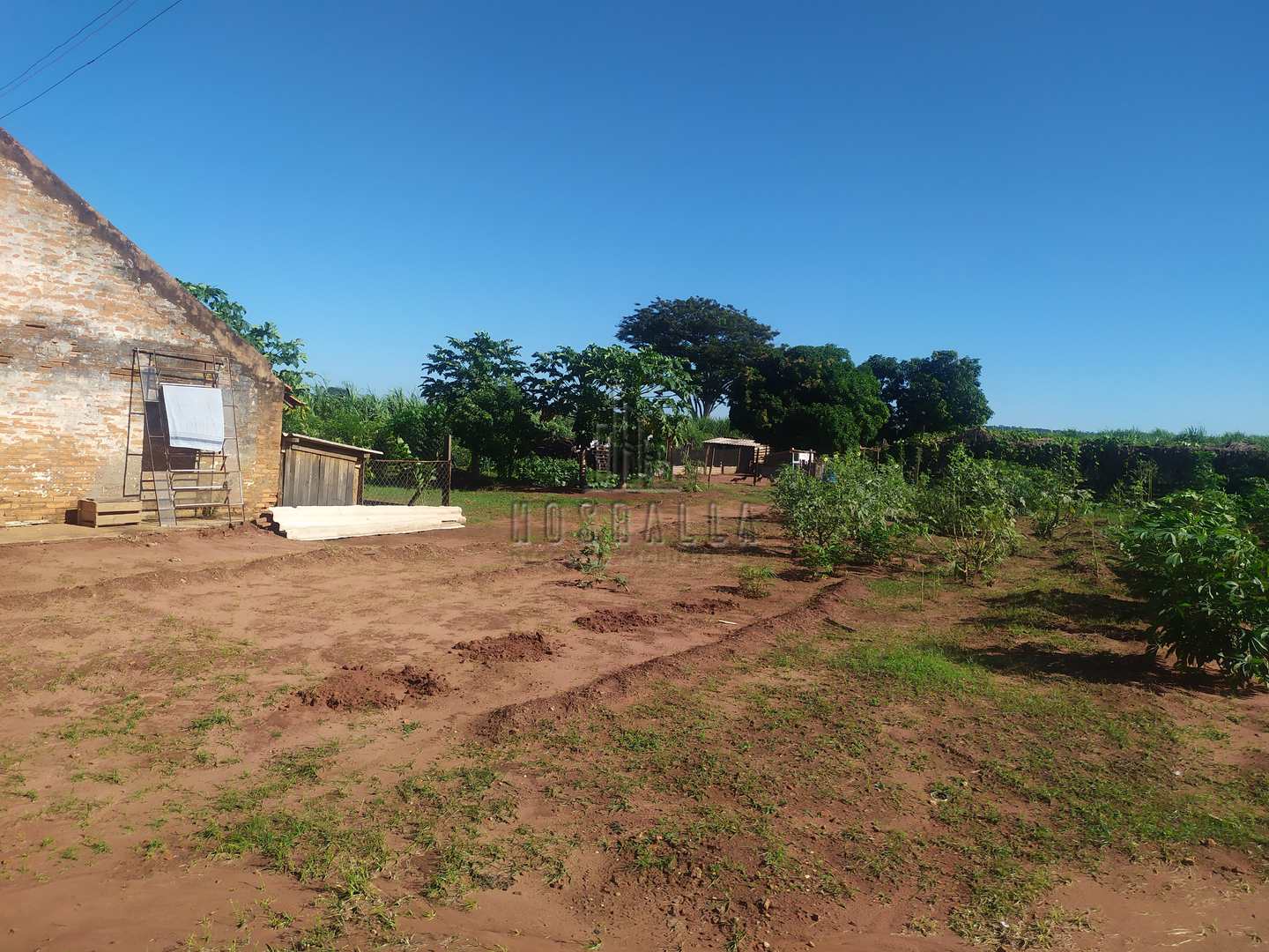 Fazenda à venda com 4 quartos, 30000m² - Foto 23