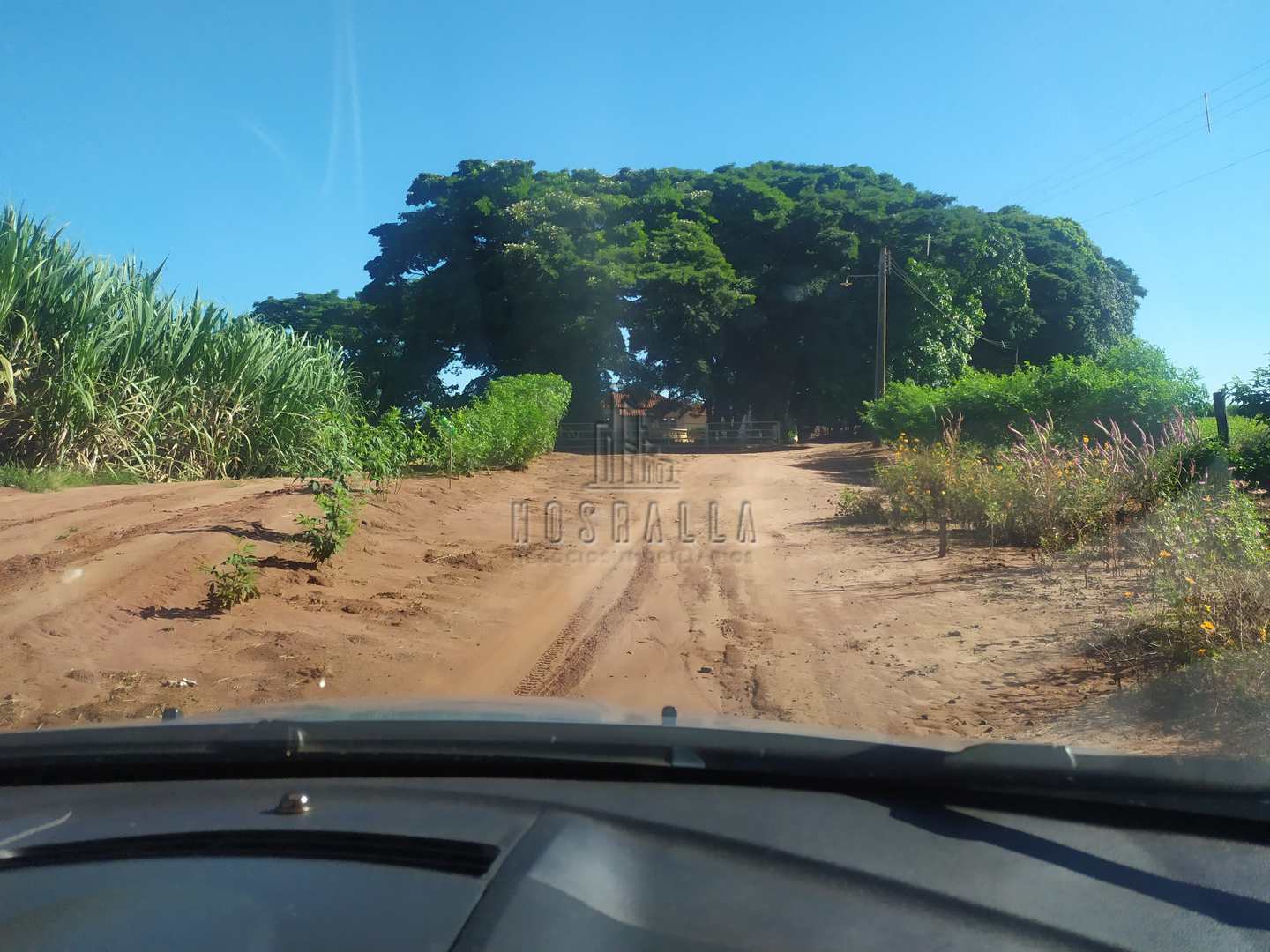 Fazenda à venda com 4 quartos, 30000m² - Foto 1