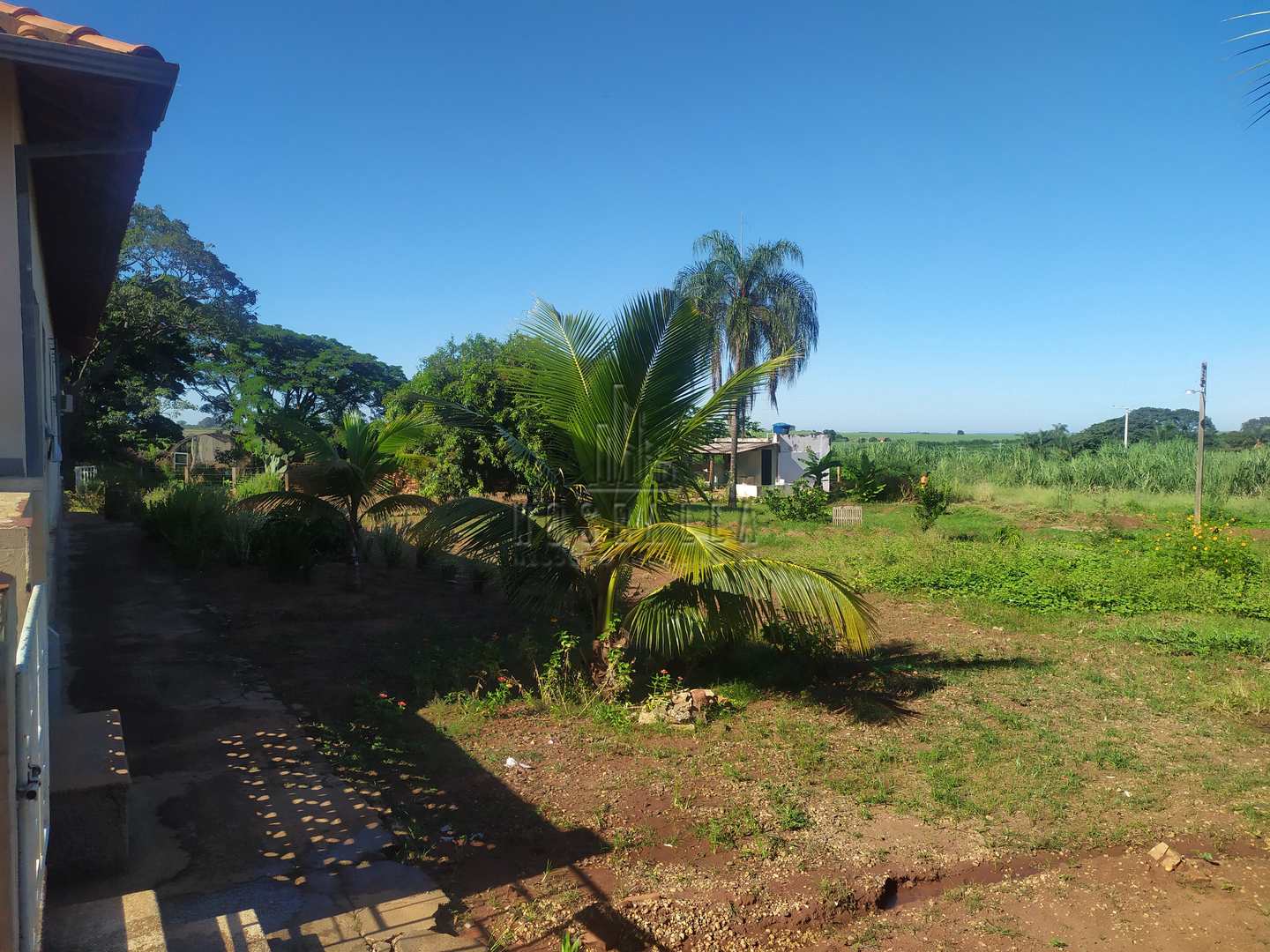 Fazenda à venda com 4 quartos, 30000m² - Foto 14