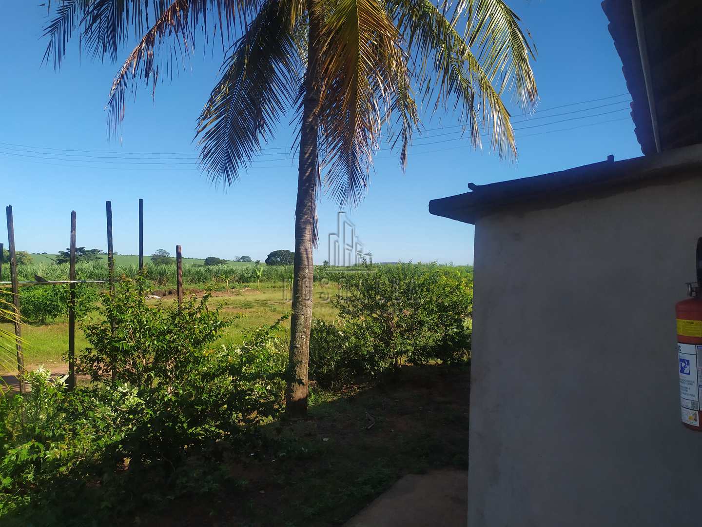 Fazenda à venda com 4 quartos, 30000m² - Foto 16