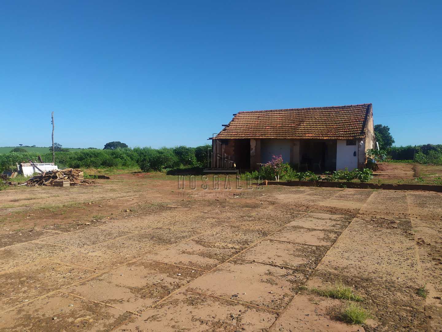 Fazenda à venda com 4 quartos, 30000m² - Foto 22