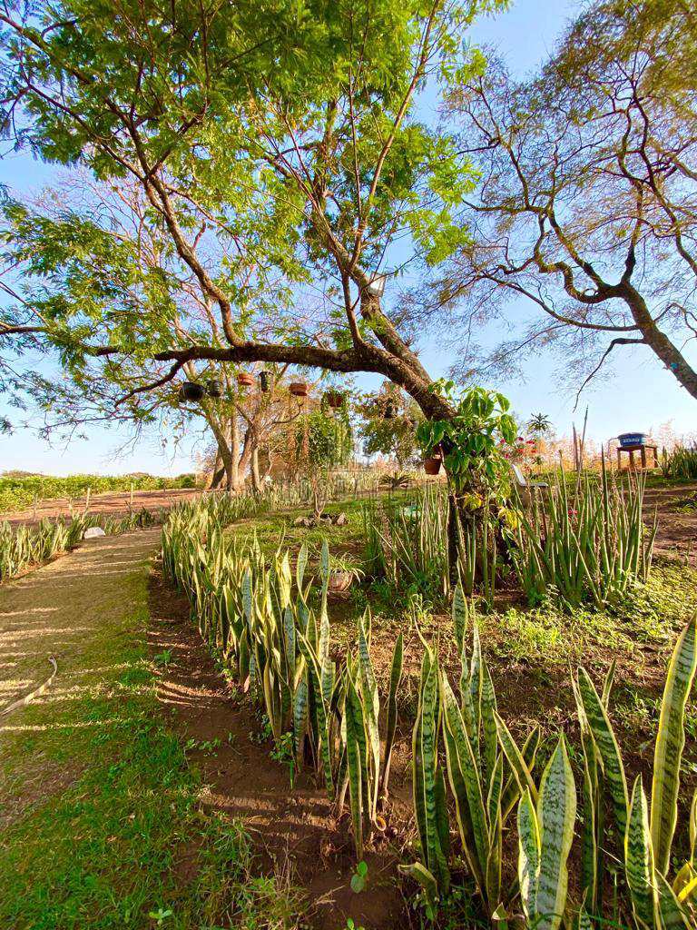 Fazenda à venda, 9m² - Foto 46