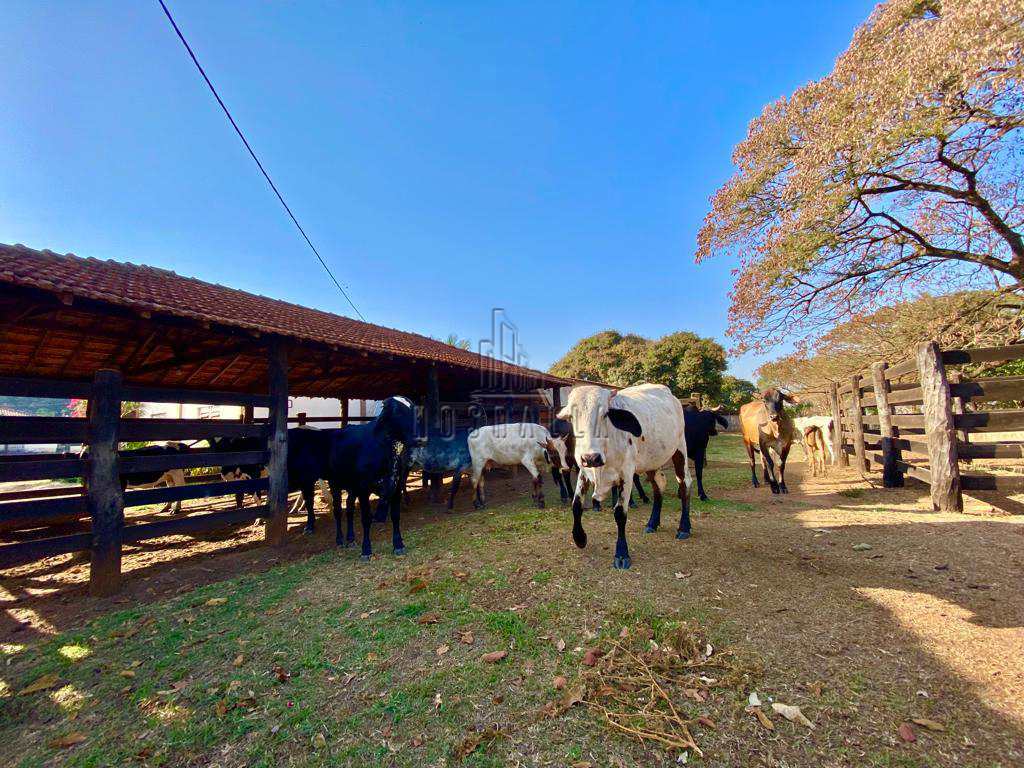 Fazenda à venda, 9m² - Foto 29