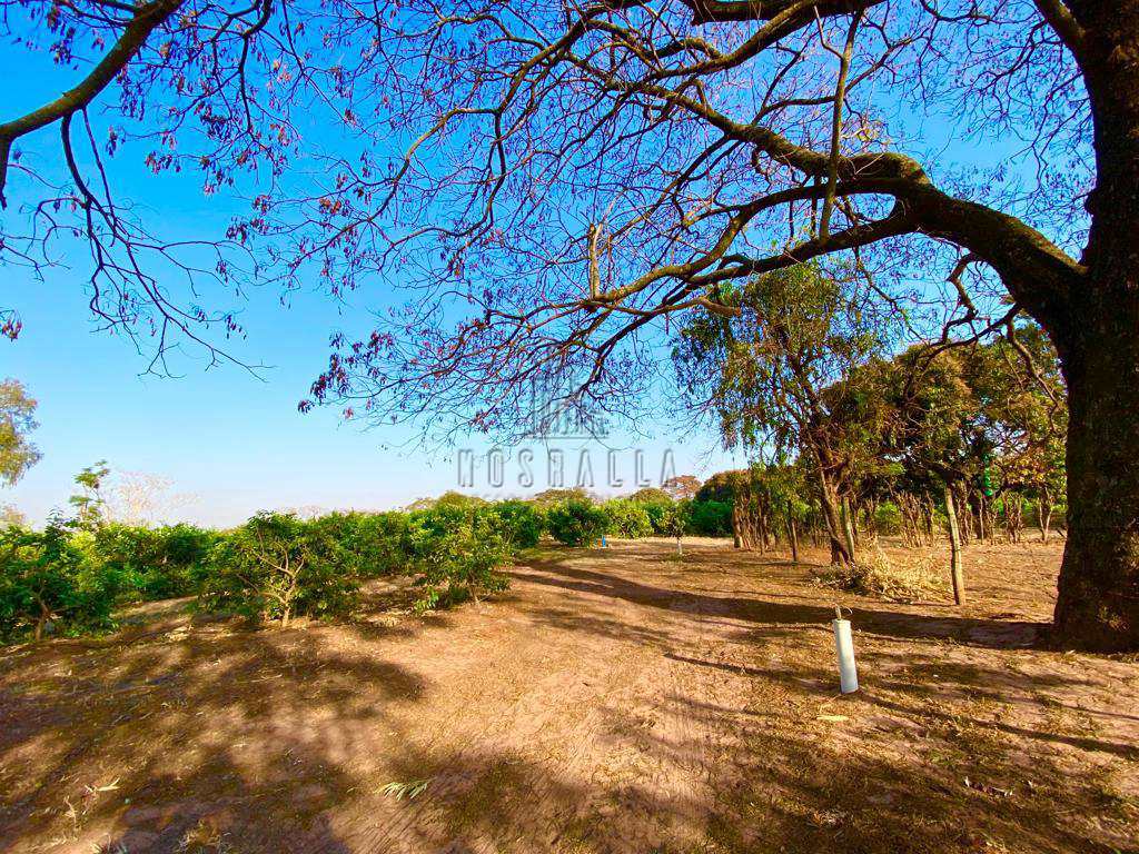 Fazenda à venda, 9m² - Foto 42