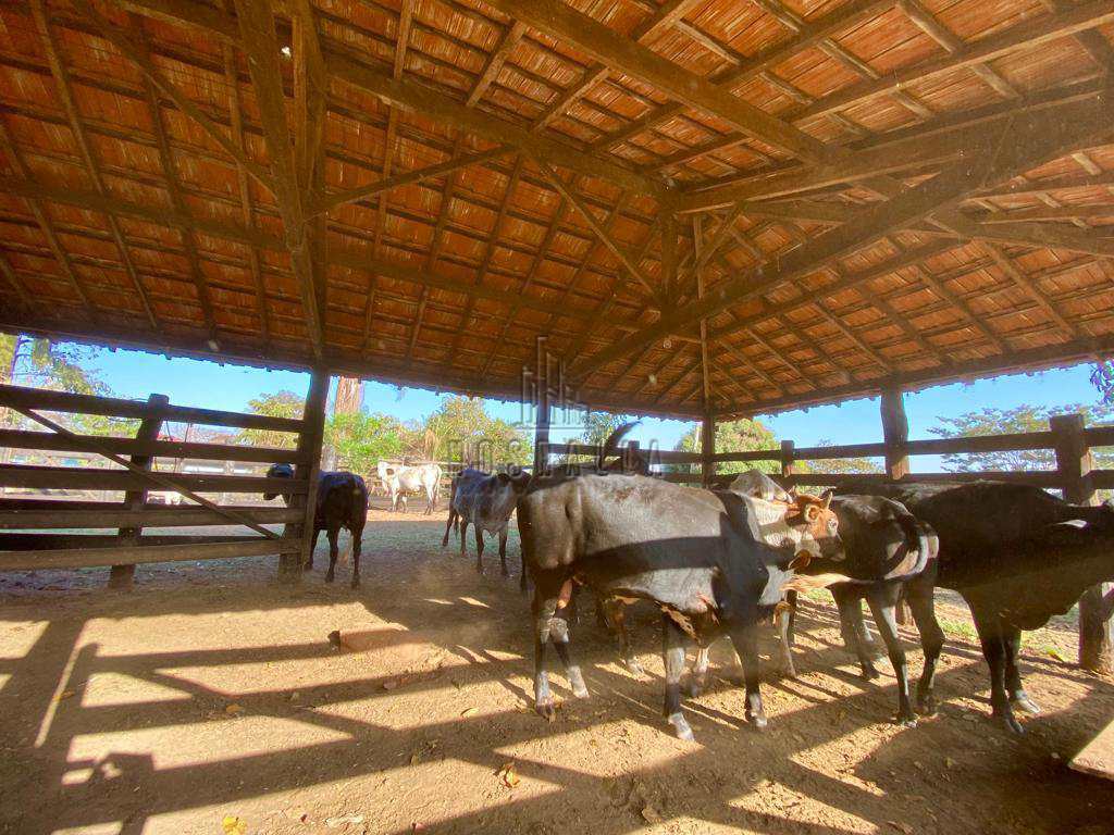 Fazenda à venda, 9m² - Foto 30