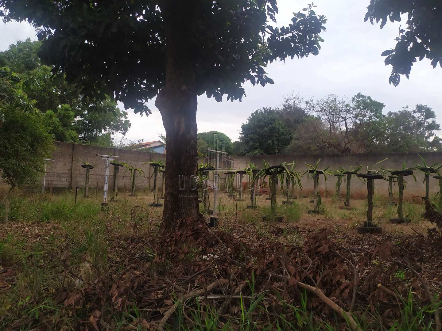 Fazenda à venda, 243m² - Foto 17