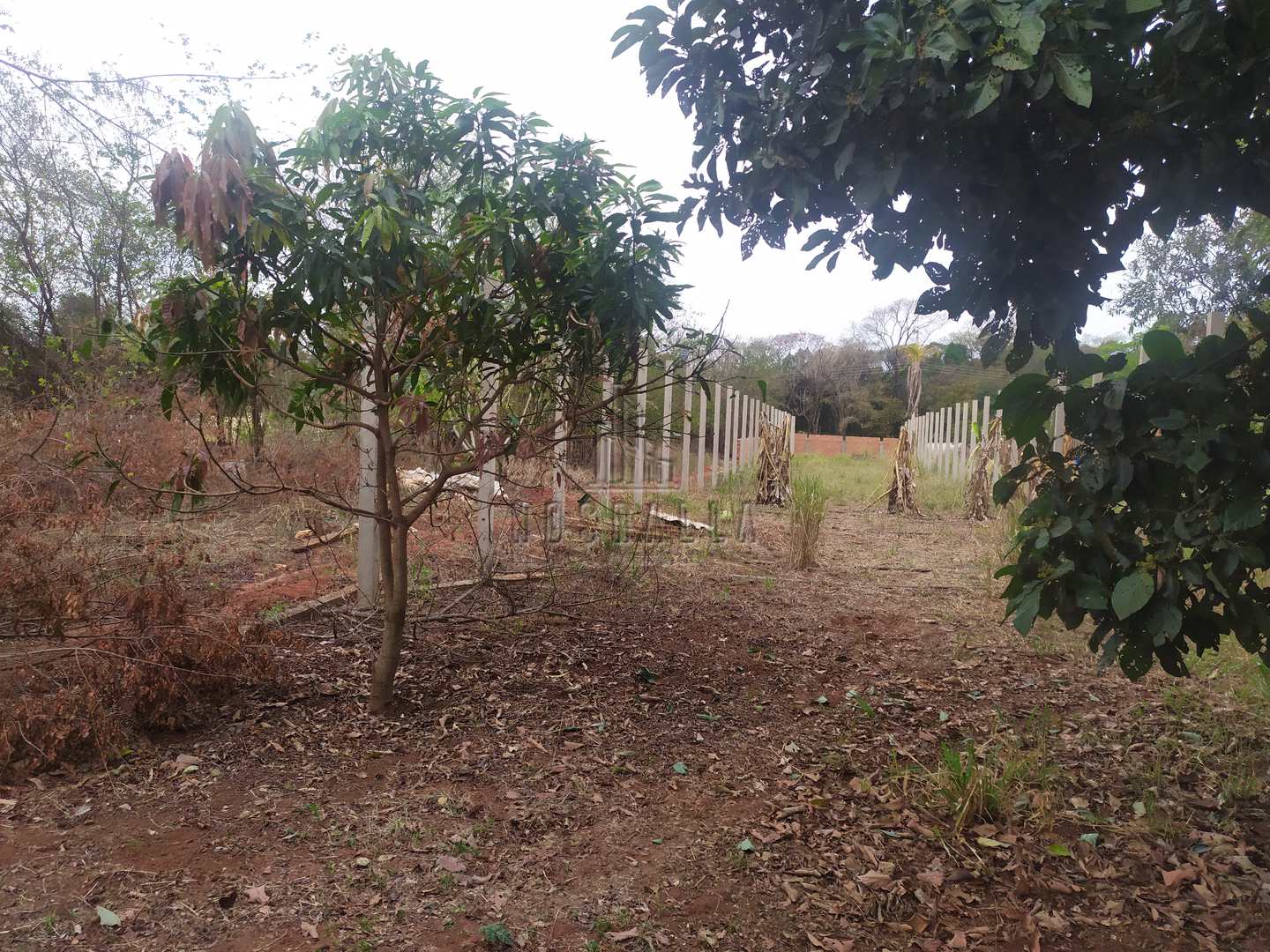 Fazenda à venda, 243m² - Foto 9