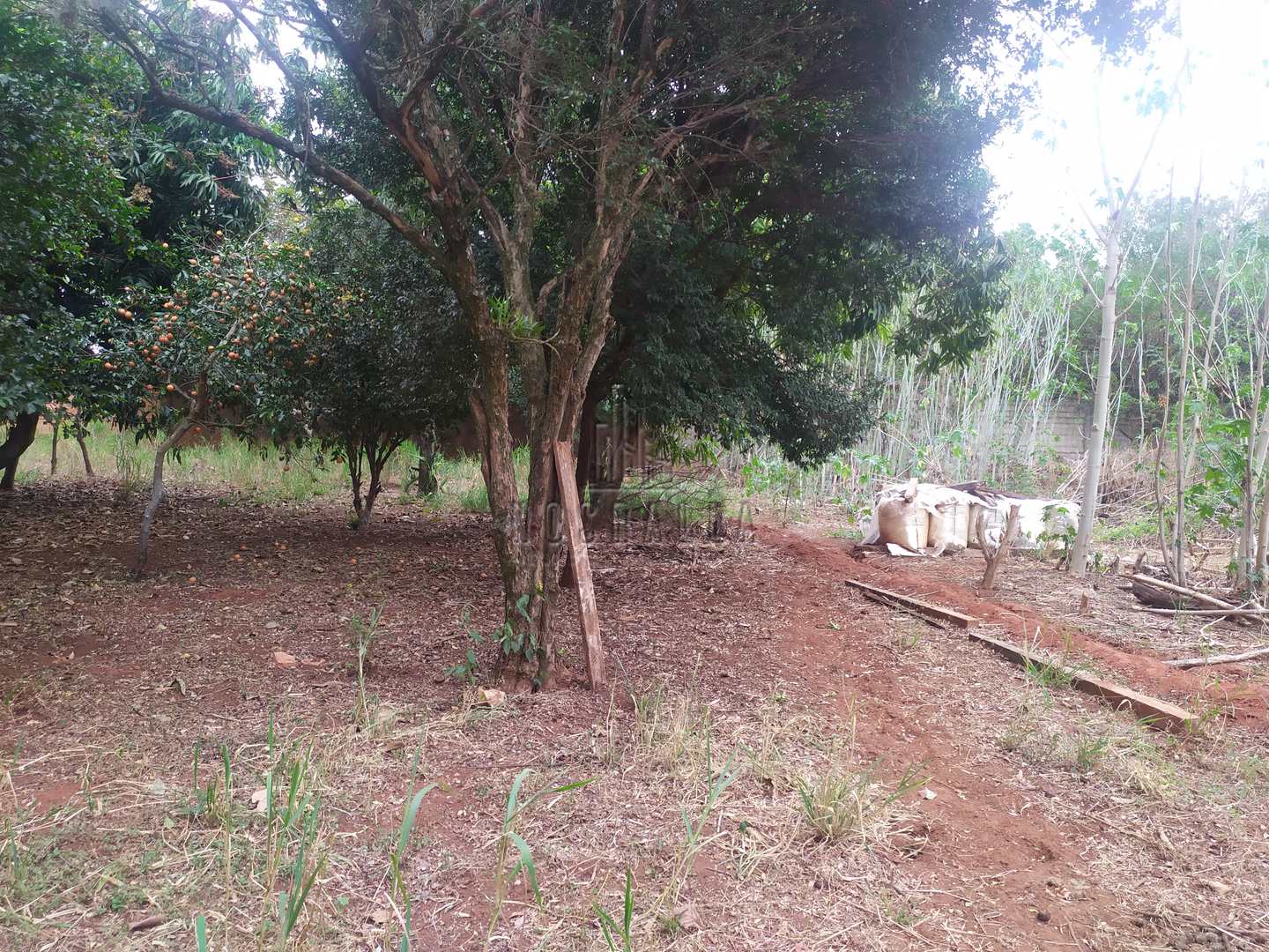 Fazenda à venda, 243m² - Foto 10