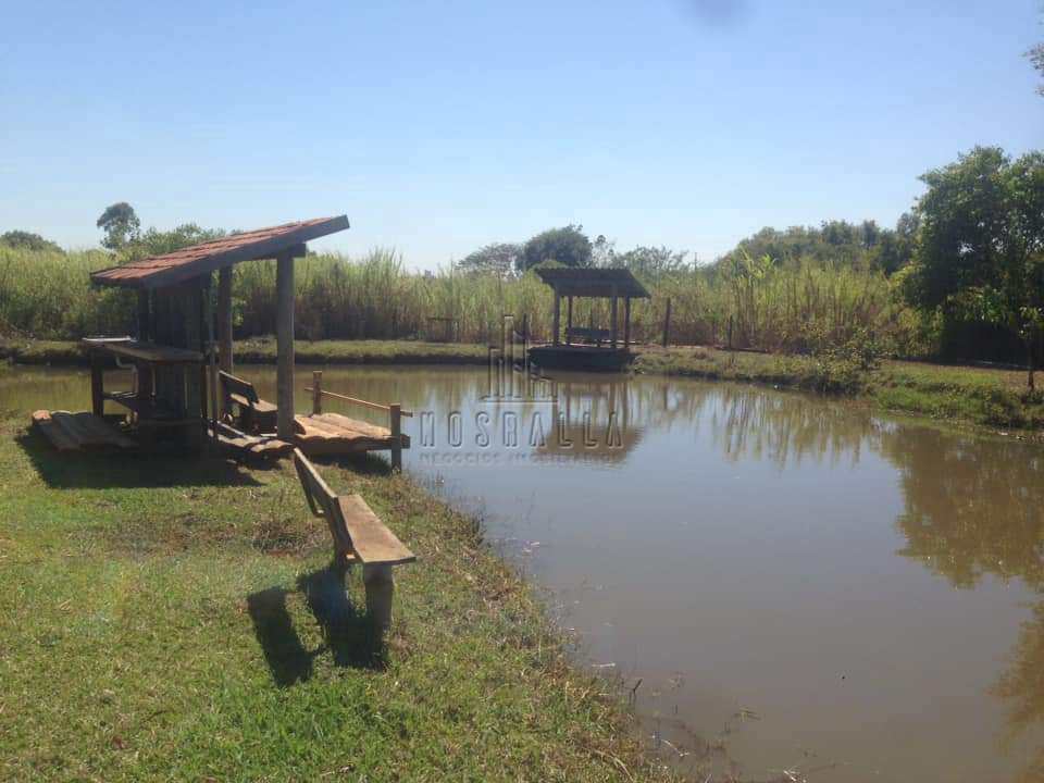 Fazenda à venda com 5 quartos, 2m² - Foto 18