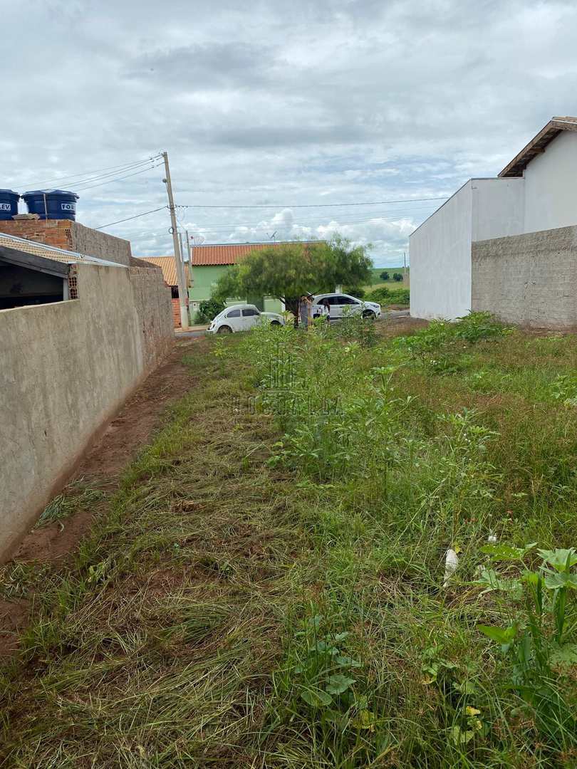 Terreno à venda, 250m² - Foto 3