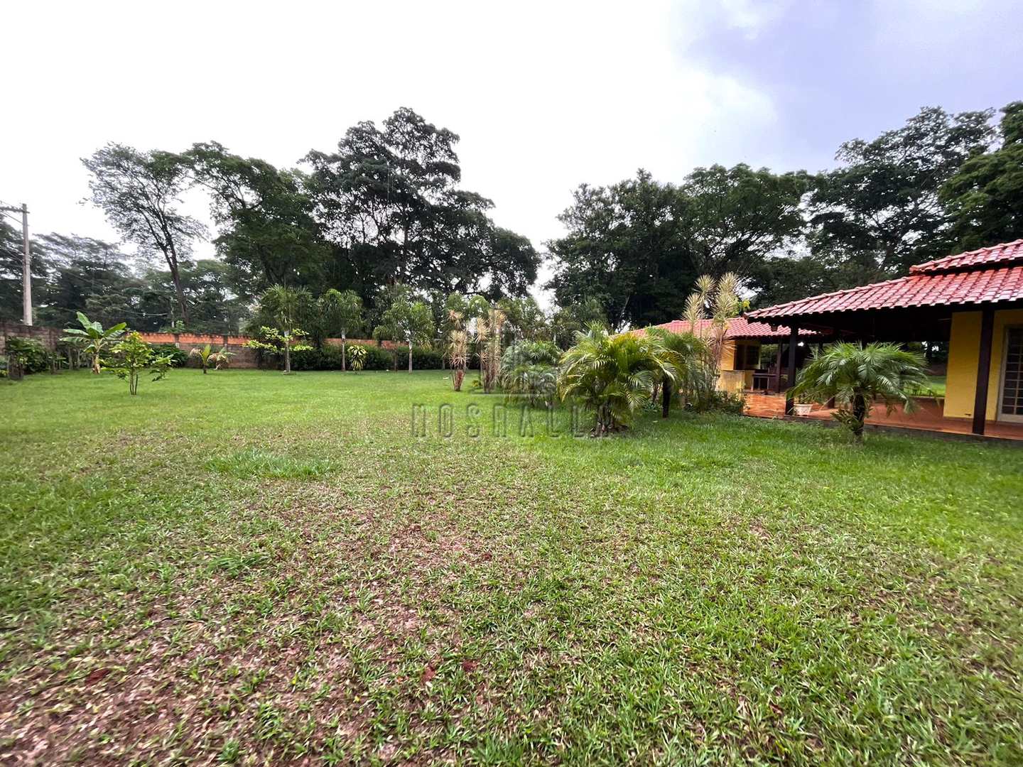 Fazenda à venda com 2 quartos, 5500m² - Foto 2