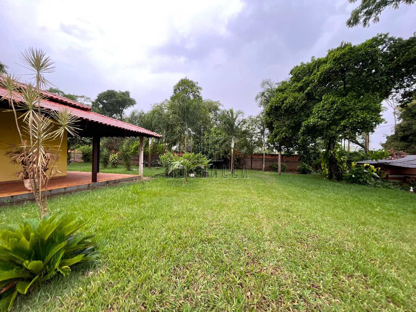 Fazenda à venda com 2 quartos, 5500m² - Foto 4