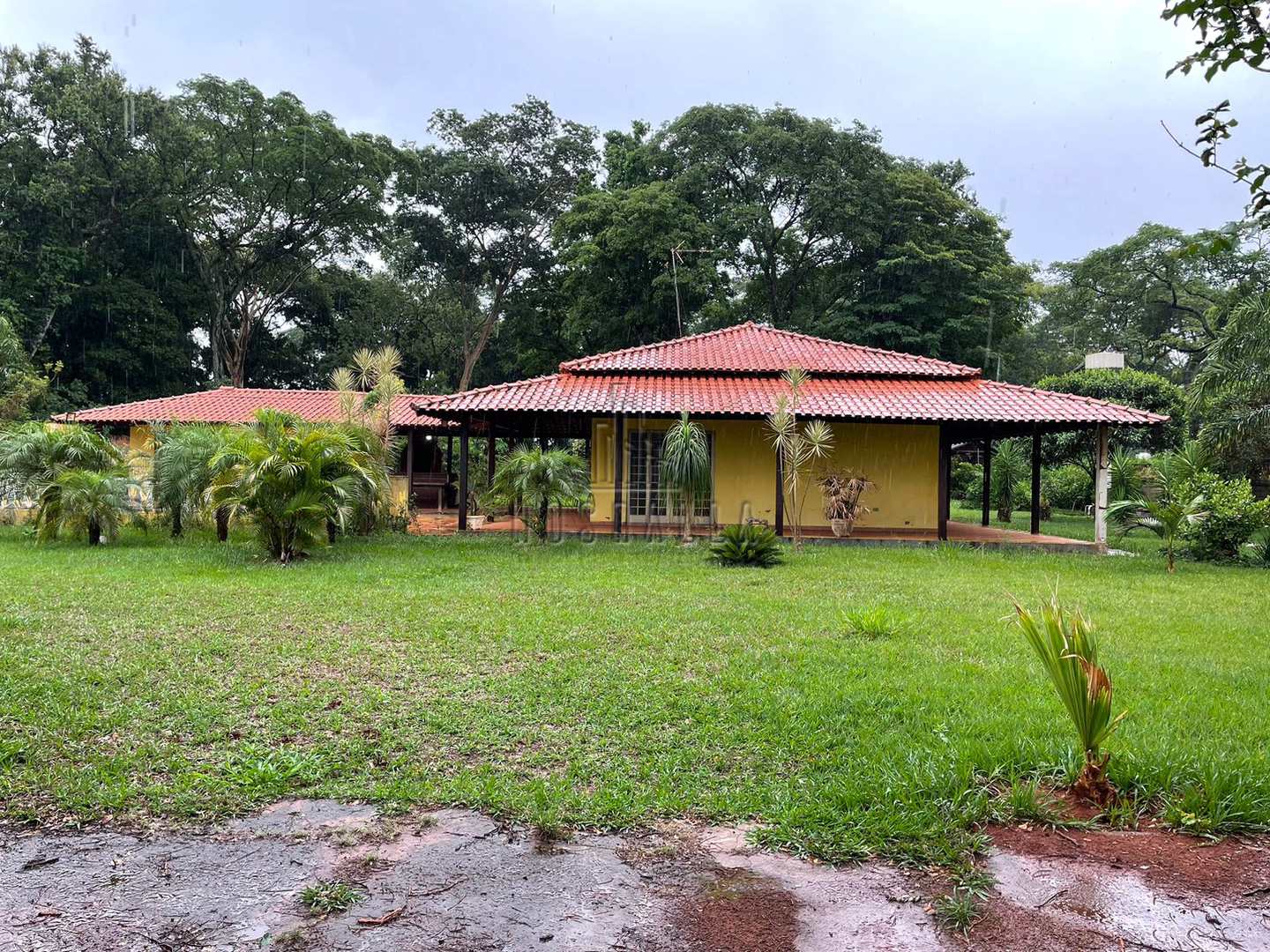 Fazenda à venda com 2 quartos, 5500m² - Foto 1