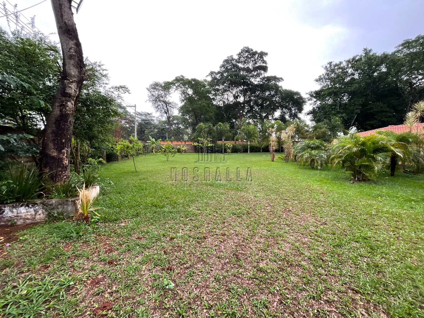 Fazenda à venda com 2 quartos, 5500m² - Foto 7