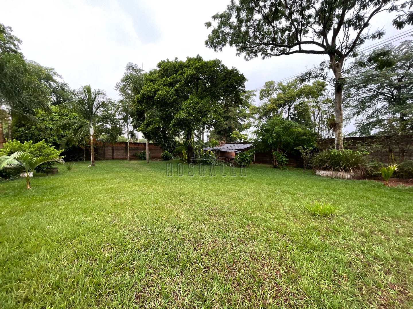 Fazenda à venda com 2 quartos, 5500m² - Foto 3