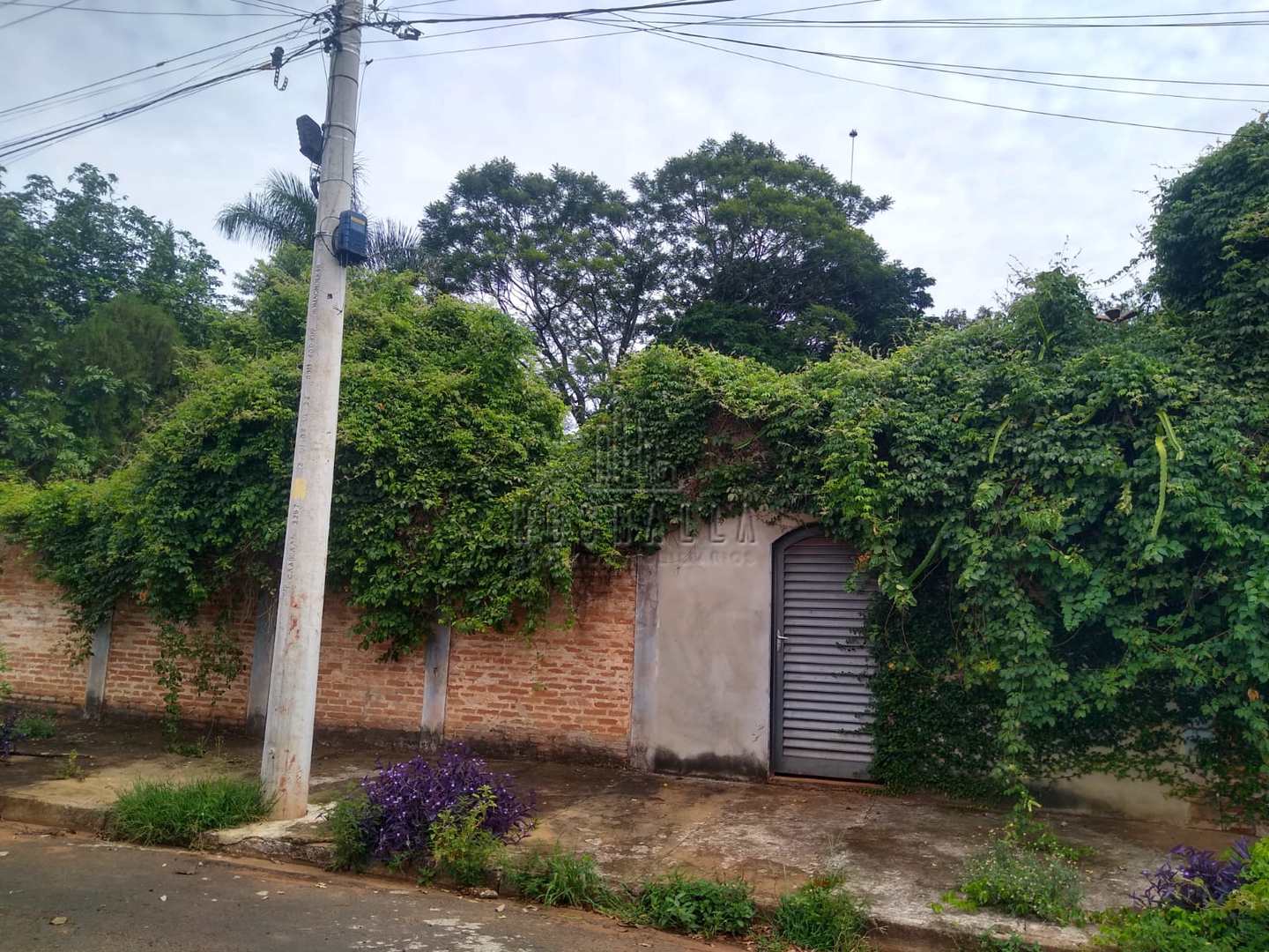 Fazenda à venda com 1 quarto, 2250m² - Foto 17