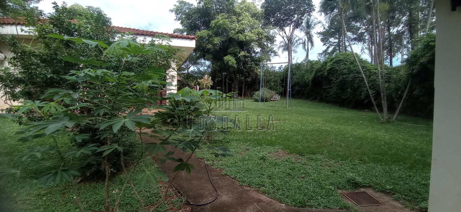 Fazenda à venda com 1 quarto, 2250m² - Foto 18