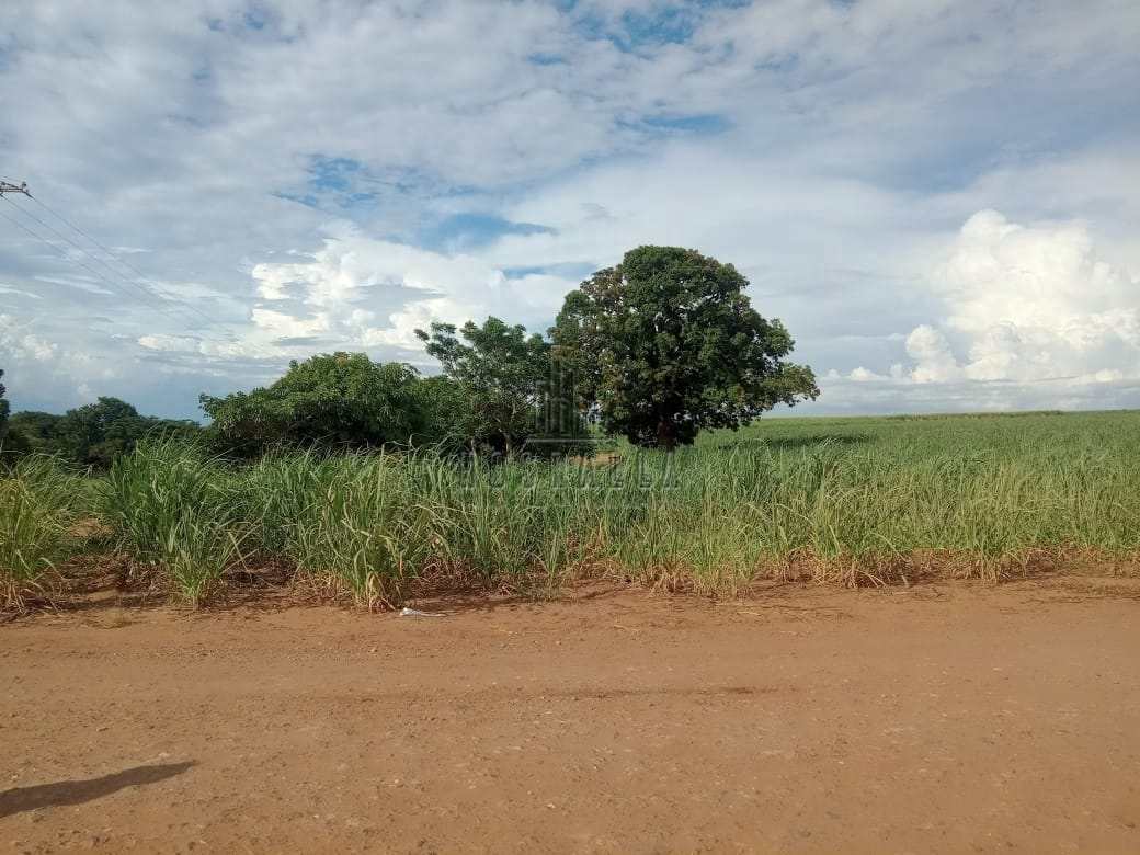 Fazenda à venda, 2m² - Foto 3