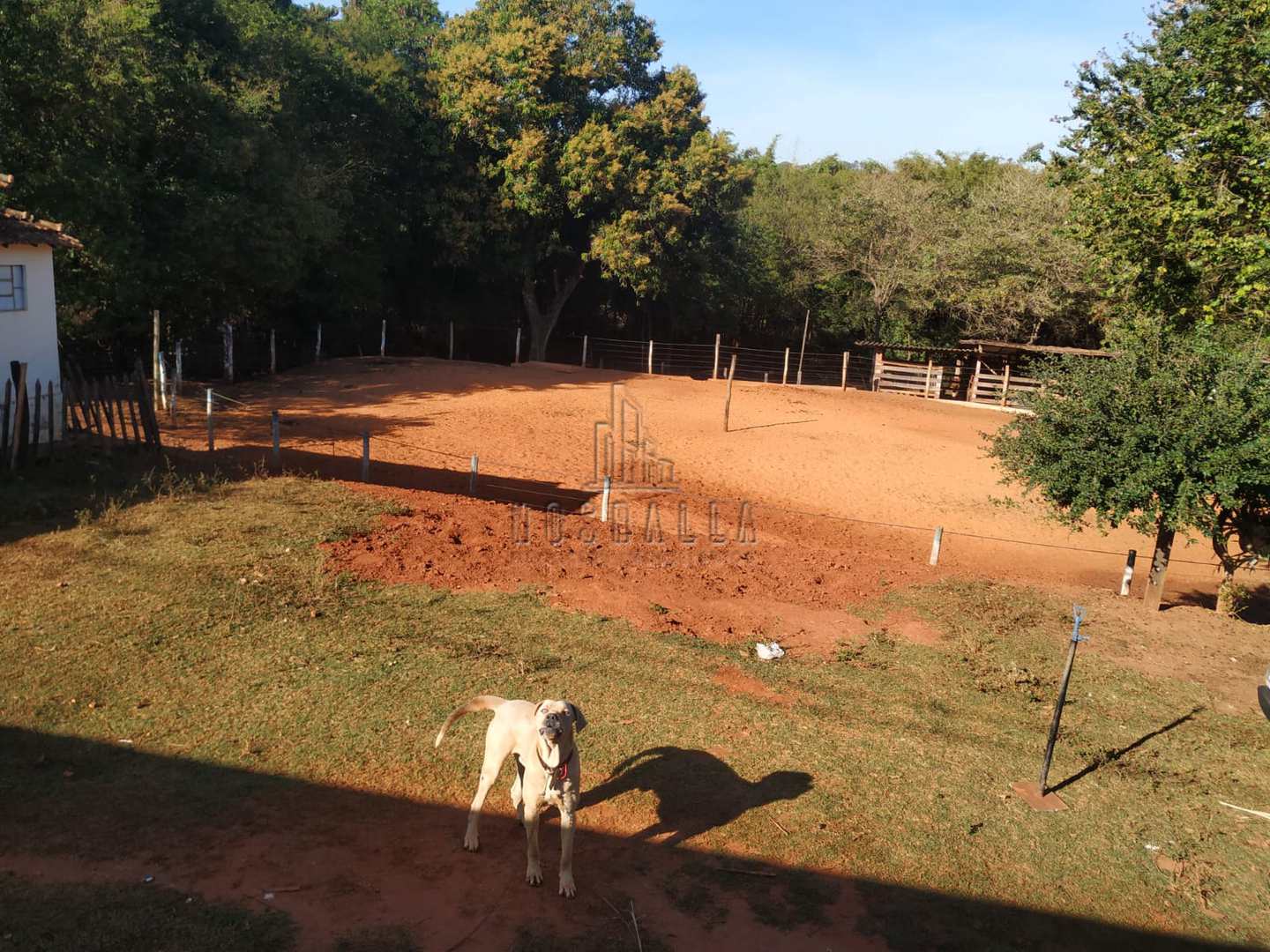 Fazenda à venda com 2 quartos, 5464m² - Foto 12