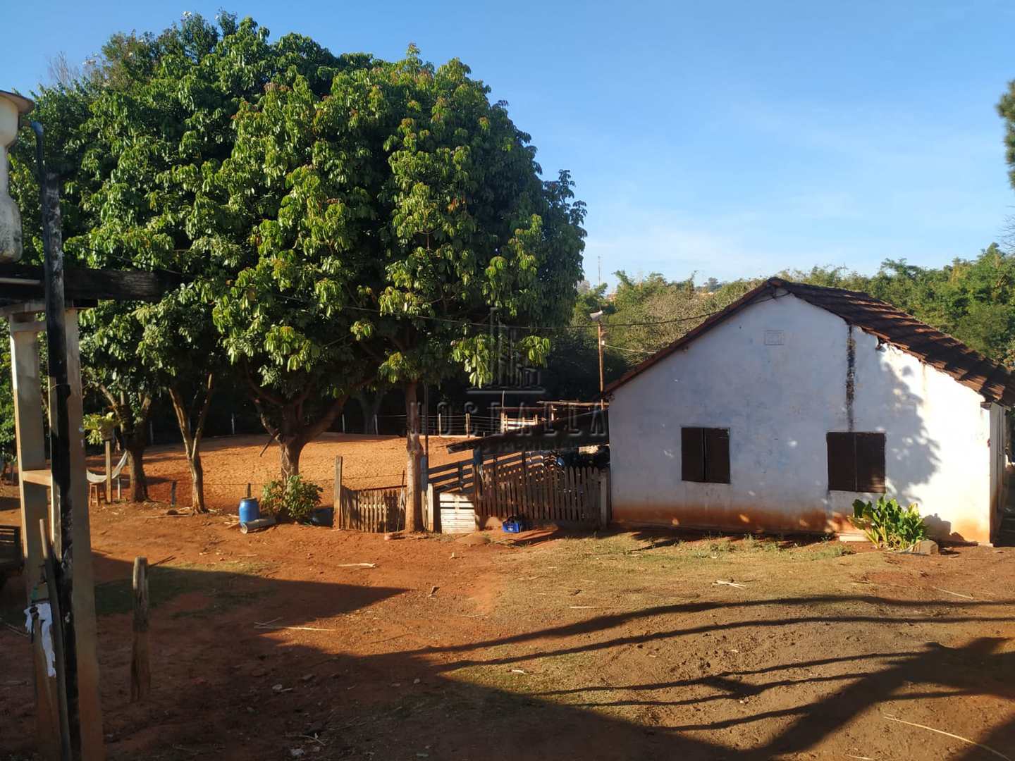 Fazenda à venda com 2 quartos, 5464m² - Foto 6