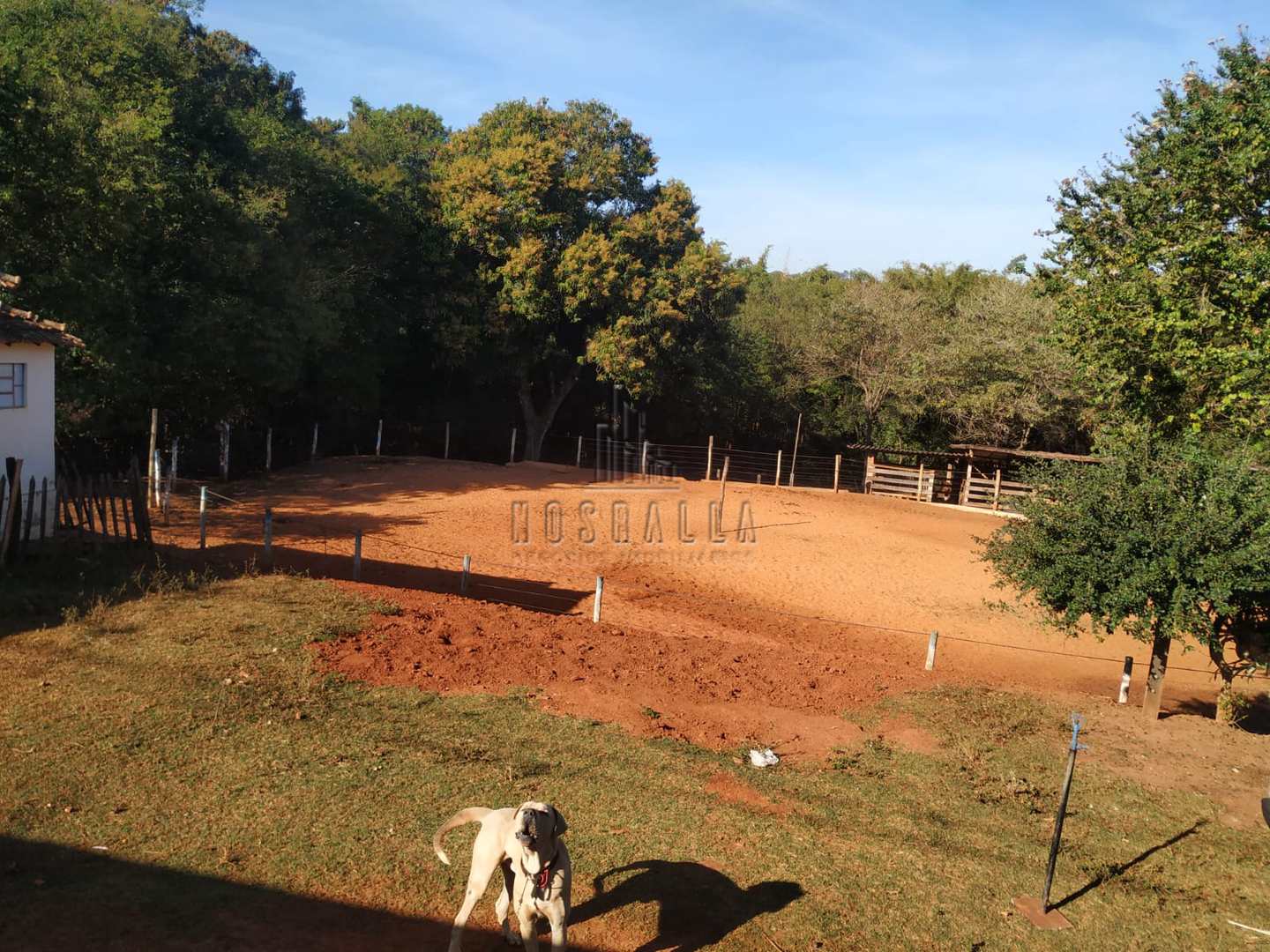 Fazenda à venda com 2 quartos, 5464m² - Foto 10