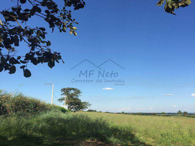 Chácara à venda, 5000m² - Foto 7