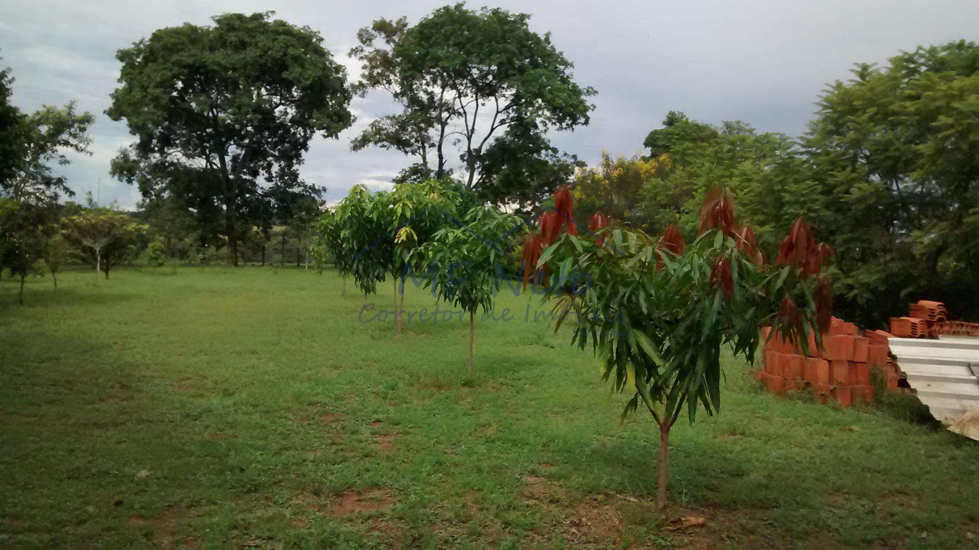 Fazenda à venda com 3 quartos, 8400m² - Foto 7