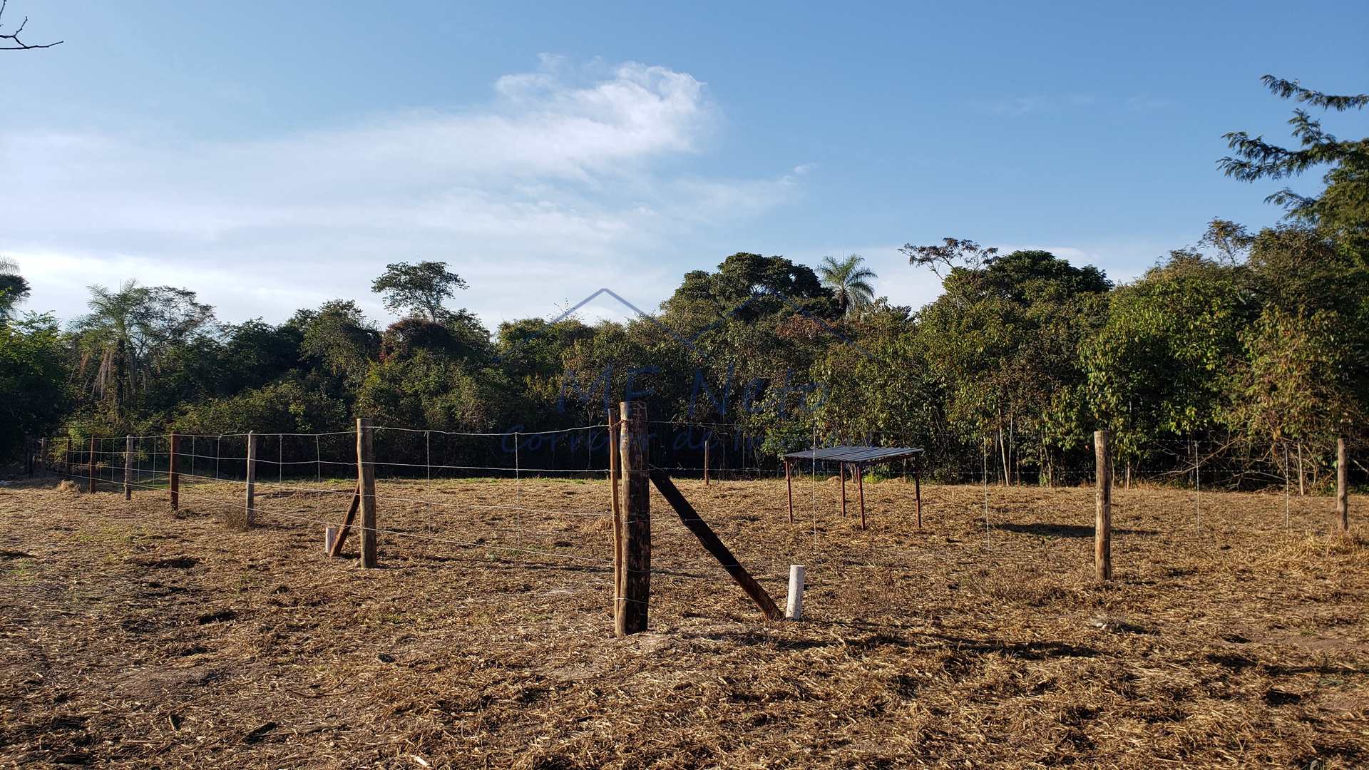 Fazenda à venda com 1 quarto, 4214m² - Foto 1