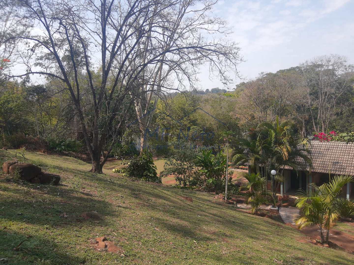 Fazenda à venda com 3 quartos, 3000m² - Foto 102