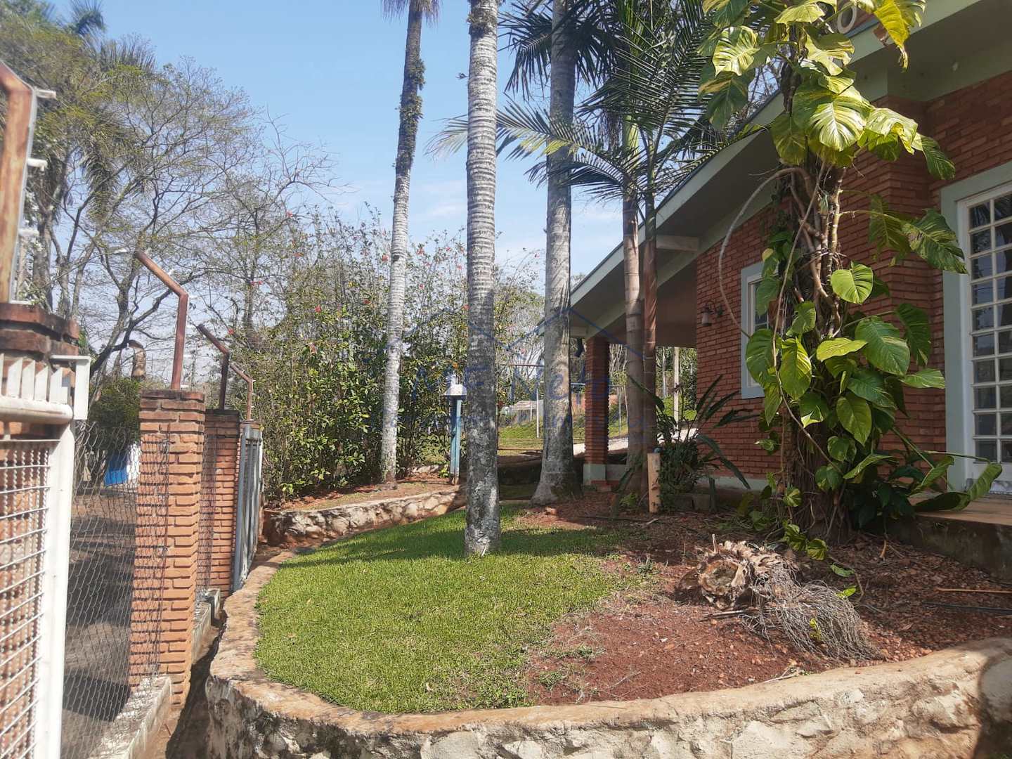 Fazenda à venda com 3 quartos, 3000m² - Foto 53