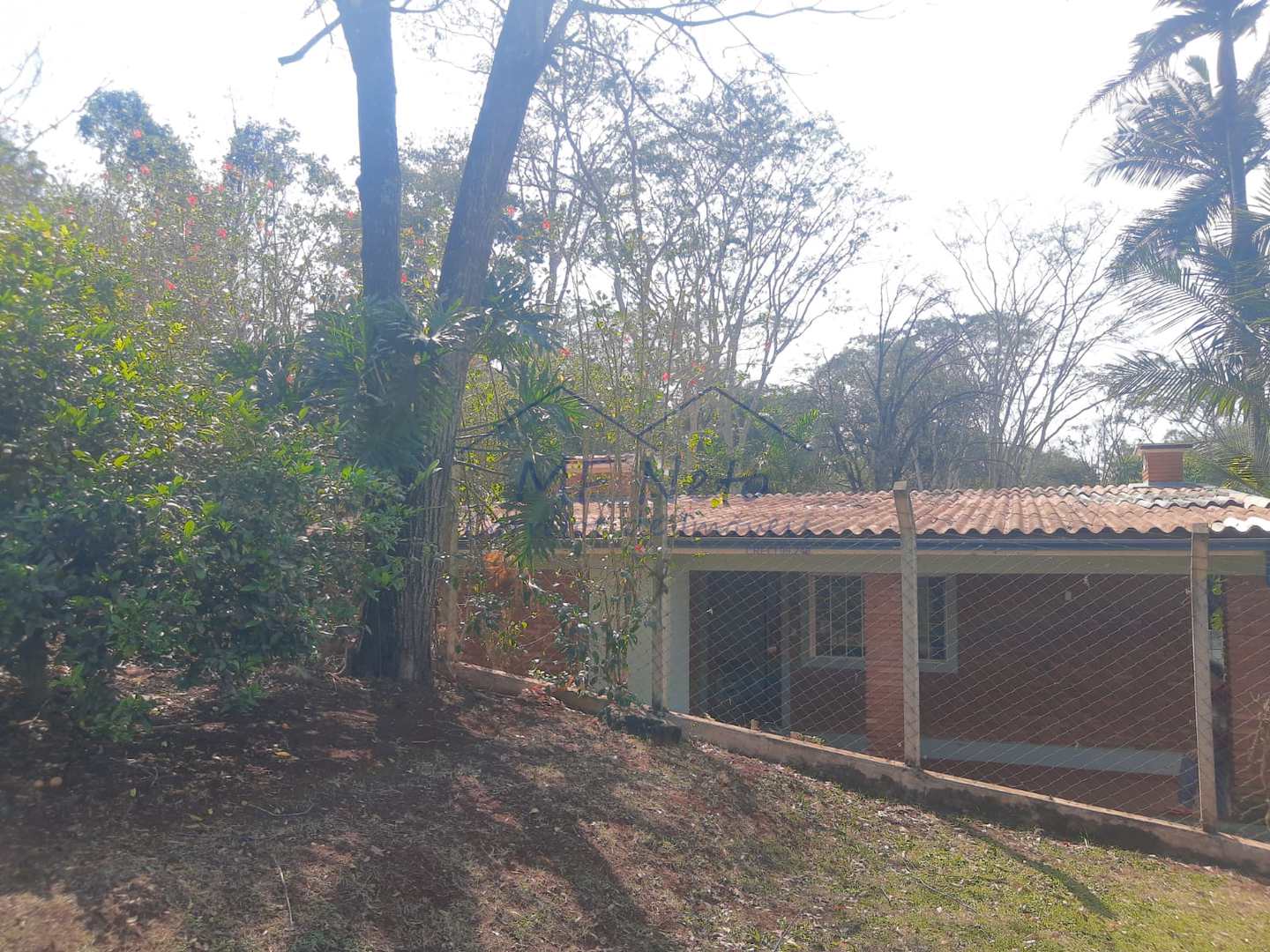 Fazenda à venda com 3 quartos, 3000m² - Foto 54