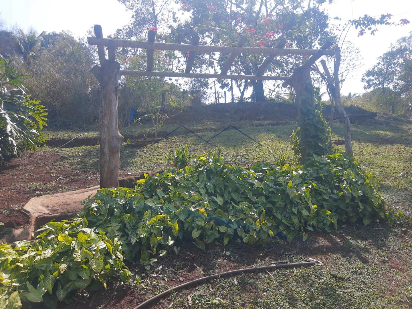 Fazenda à venda com 3 quartos, 3000m² - Foto 97