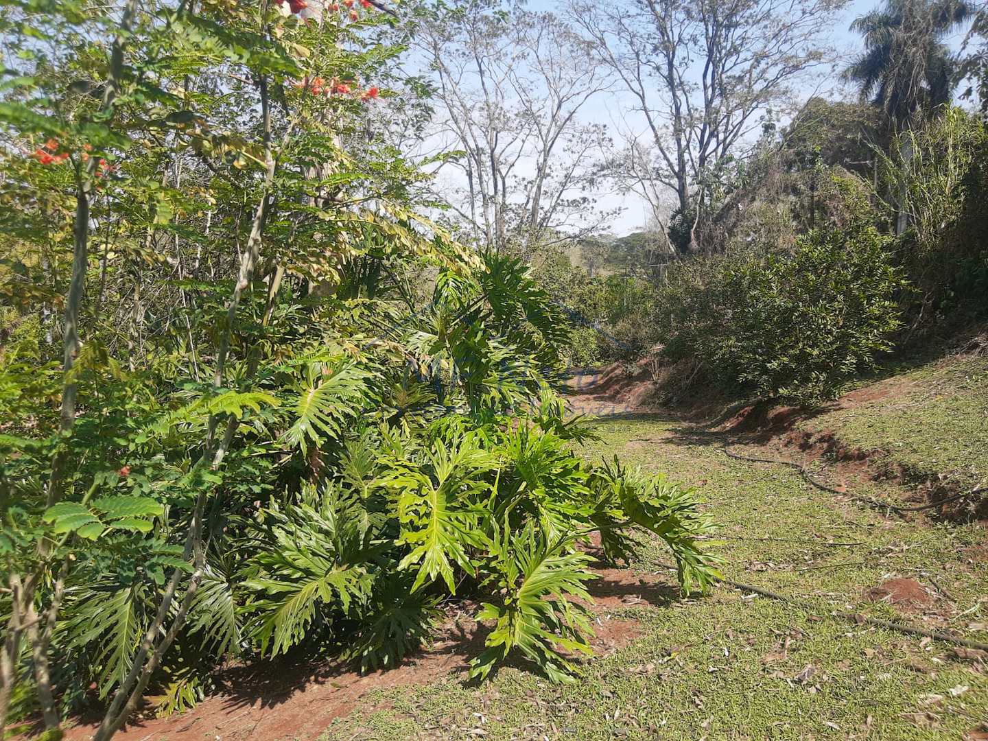 Fazenda à venda com 3 quartos, 3000m² - Foto 104