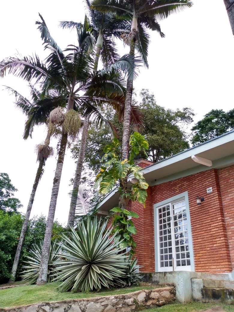 Fazenda à venda com 3 quartos, 3000m² - Foto 17