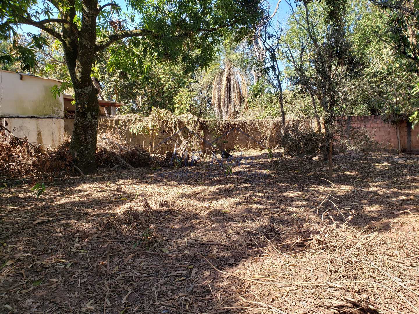 Fazenda à venda com 2 quartos, 1782m² - Foto 8