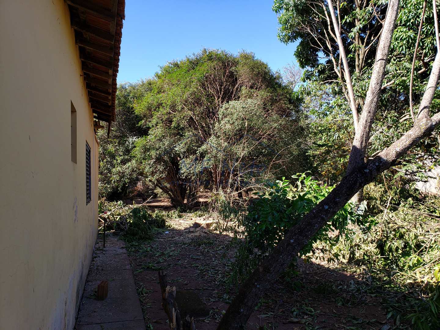 Fazenda à venda com 2 quartos, 1782m² - Foto 6