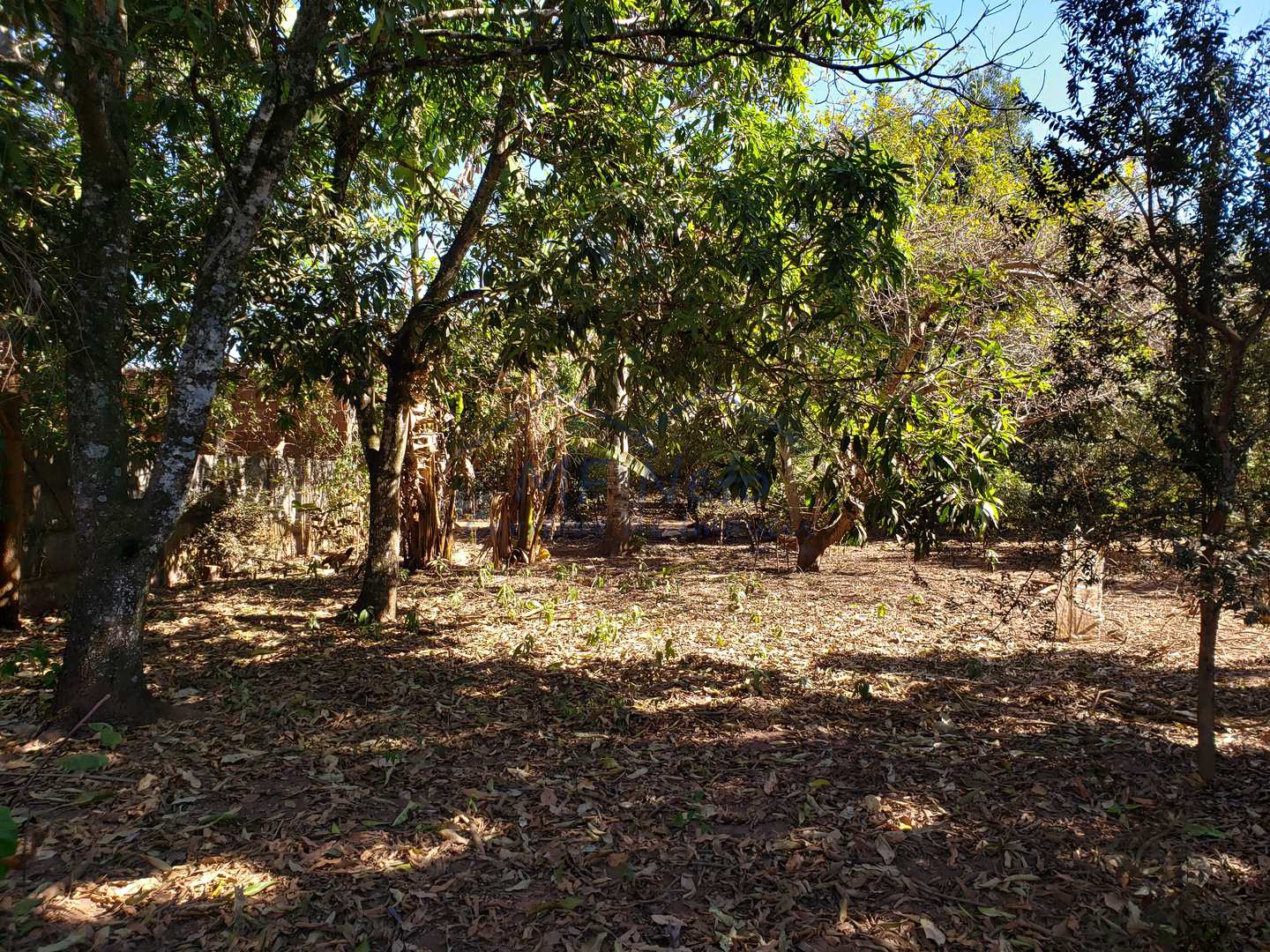 Fazenda à venda com 2 quartos, 1782m² - Foto 1