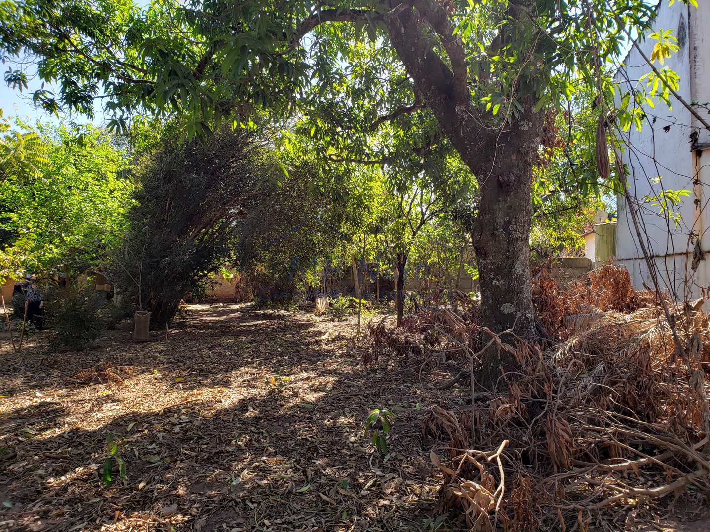 Fazenda à venda com 2 quartos, 1782m² - Foto 11