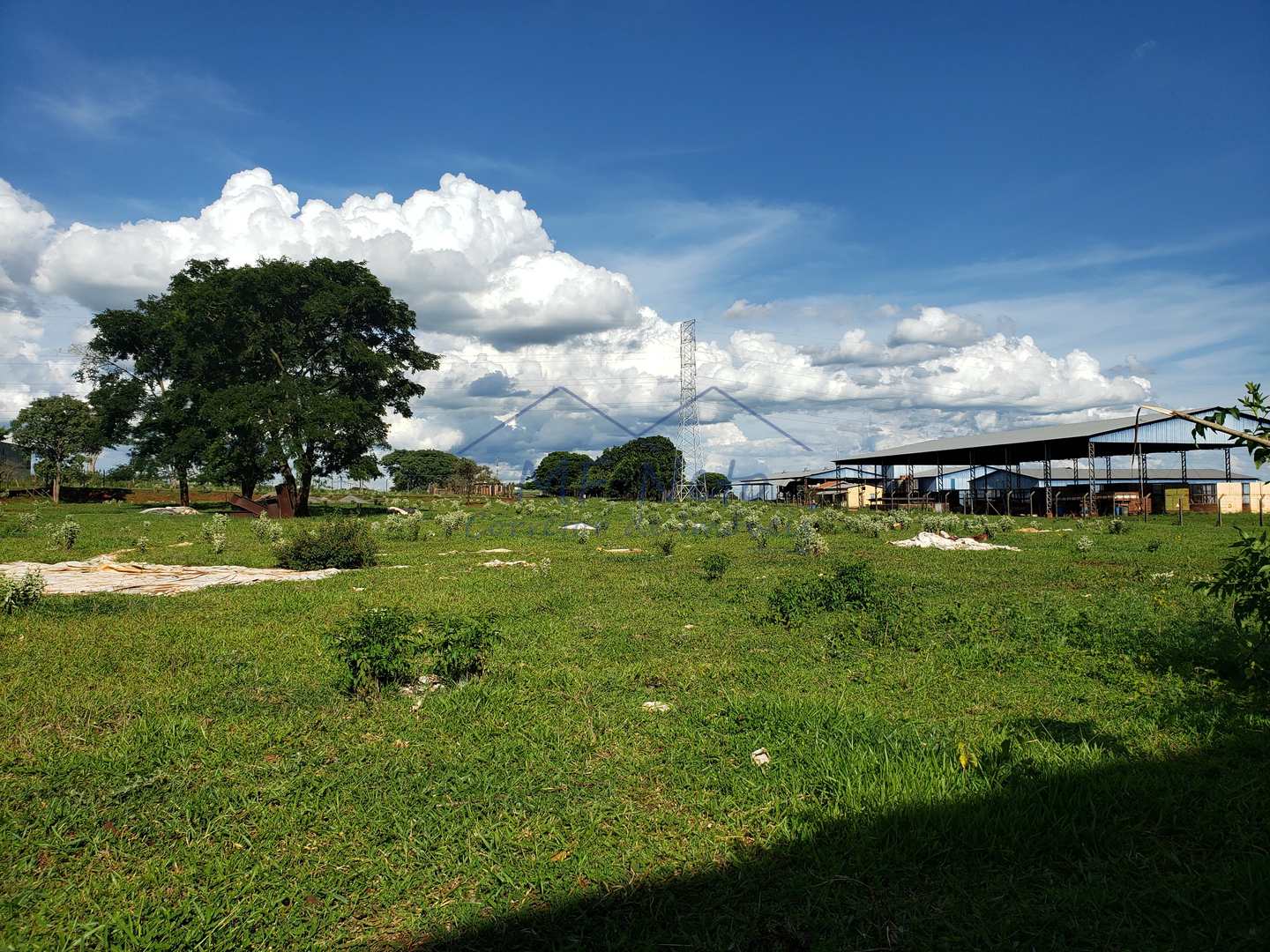 Depósito-Galpão-Armazém para alugar com 1 quarto, 18417m² - Foto 16