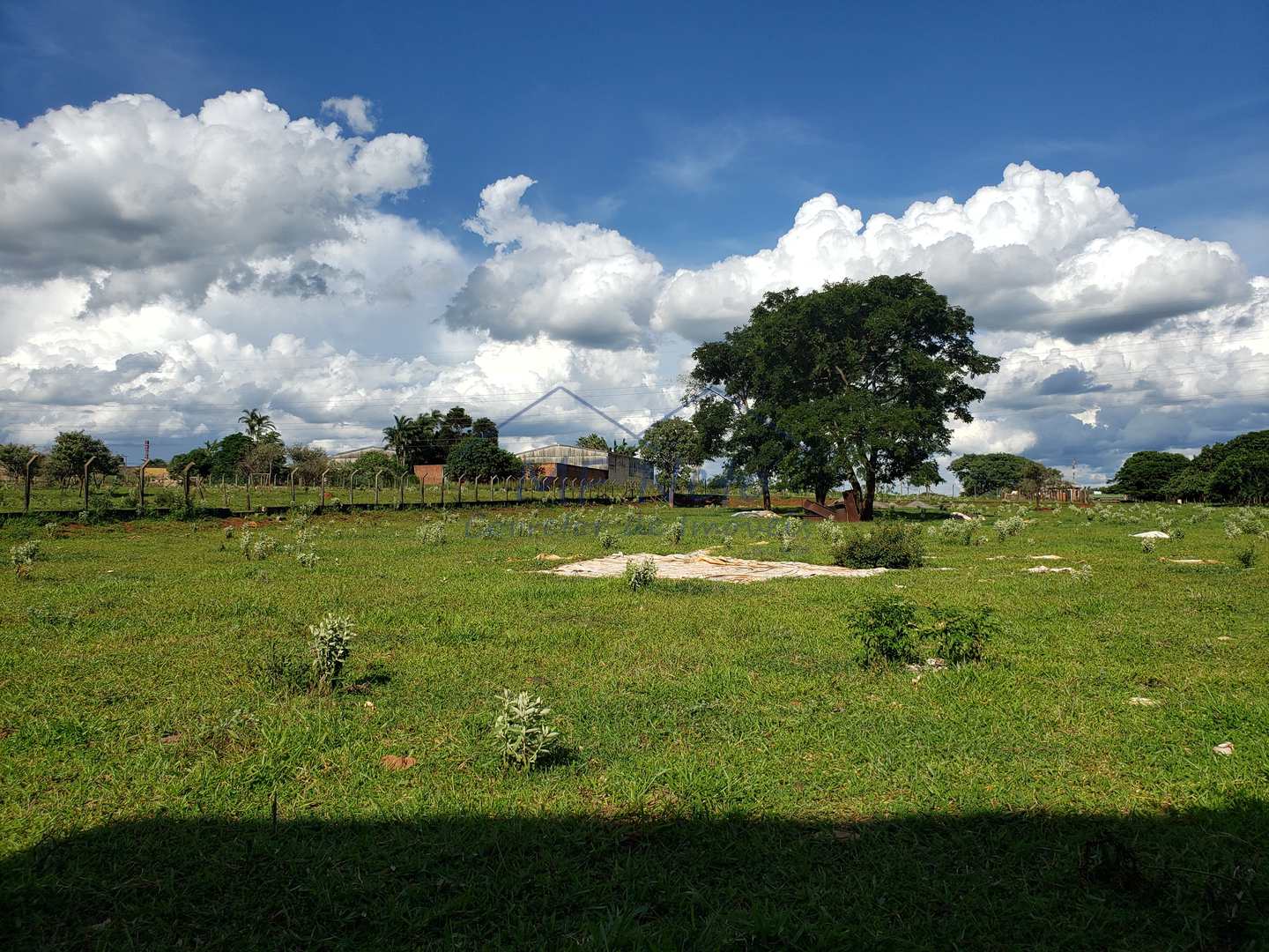 Depósito-Galpão-Armazém para alugar com 1 quarto, 18417m² - Foto 15