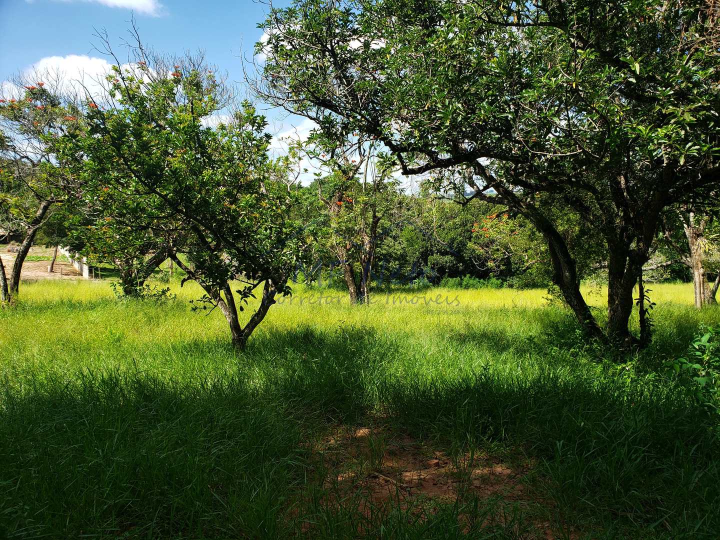 Terreno à venda, 1878m² - Foto 7