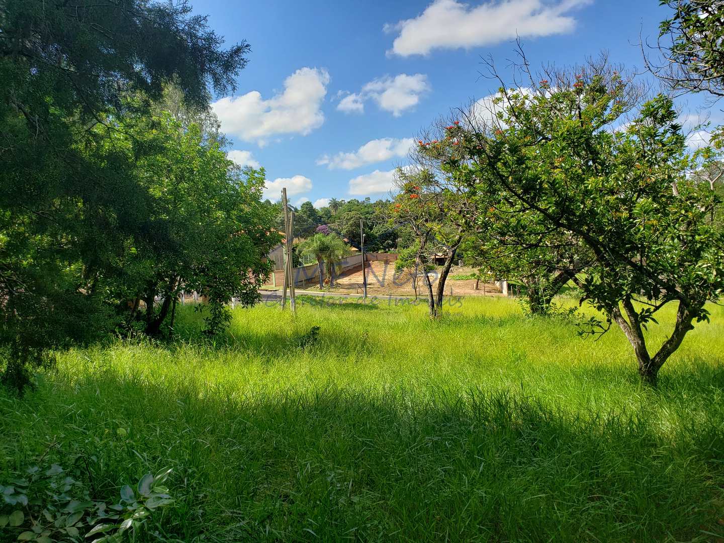 Terreno à venda, 1970m² - Foto 5