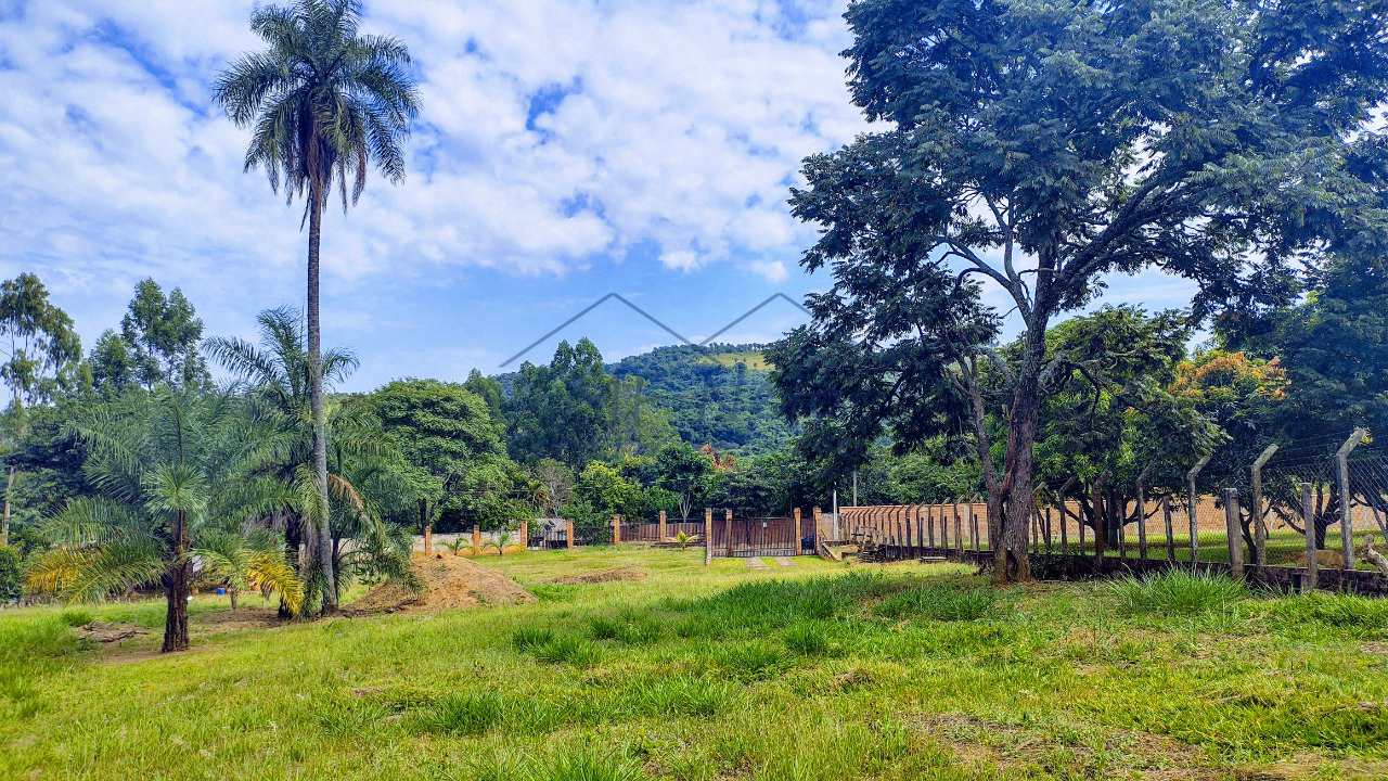 Fazenda à venda com 1 quarto, 3798m² - Foto 4