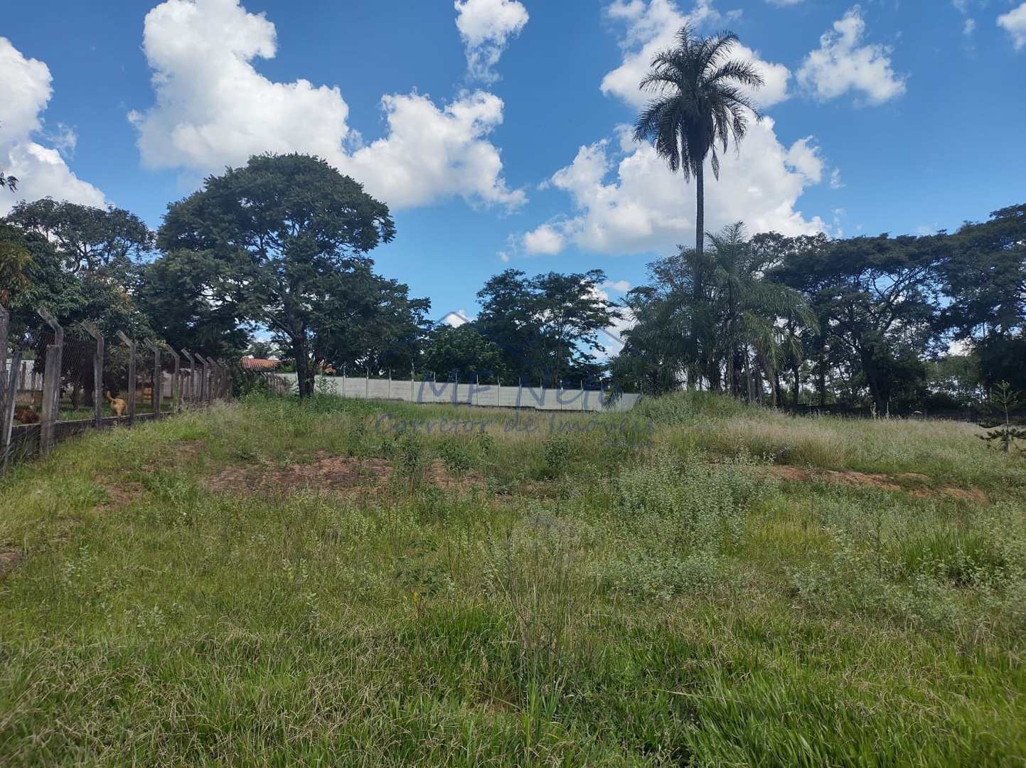 Fazenda à venda com 1 quarto, 3798m² - Foto 7